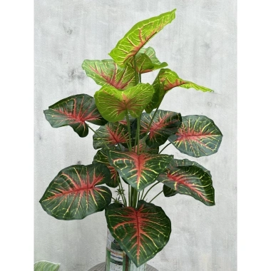 Cây Lá Rùa Trầu Bà Môn Xanh Đốm - Decor nhà cửa, văn phòng, giá ưu đãi 88.500 VND 4