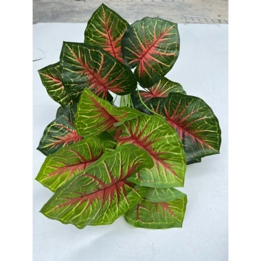 Cây Lá Rùa Trầu Bà Môn Xanh Đốm - Decor nhà cửa, văn phòng, giá ưu đãi 88.500 VND 14