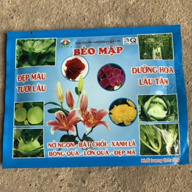 Cây lan hạt dưa 35cm trồng chậu treo - Trang trí ban công, nội thất, sân vườn - Giá chỉ 38.000₫ 2