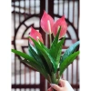 Cây Lan Ý Giả 50cm 3 Bông Cao 30cm - Giống Thật 99% Đa Màu, Giá Rẻ 34000đ 5
