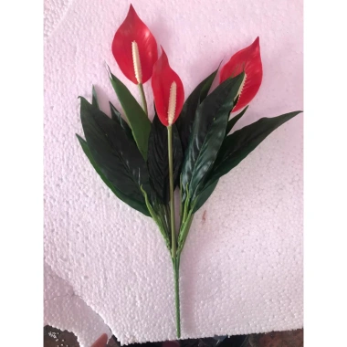Cây Lan Ý Giả 50cm 3 Bông Cao 30cm - Giống Thật 99% Đa Màu, Giá Rẻ 34000đ 6