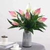 Cây Lan Ý Giả 50cm 3 Bông Cao 30cm - Giống Thật 99% Đa Màu, Giá Rẻ 34000đ 7