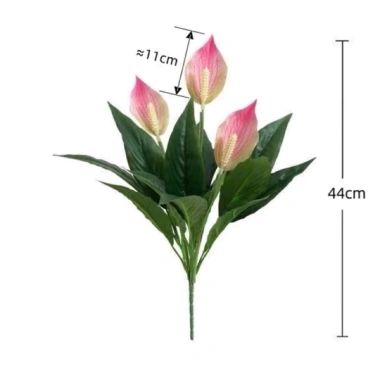 Cây Lan Ý Giả 50cm 3 Bông Cao 30cm - Giống Thật 99% Đa Màu, Giá Rẻ 34000đ 9