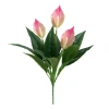 Cây Lan Ý Giả 50cm 3 Bông Cao 30cm - Giống Thật 99% Đa Màu, Giá Rẻ 34000đ 12