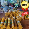 Cây Linh chi thảo tím huyết rồng 1kg POLYB hỗ trợ Dạ dày Trĩ giảm giá 150.000 9