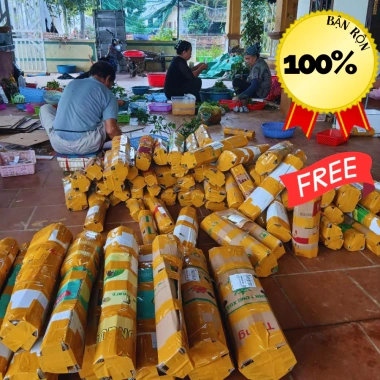 Cây Linh chi thảo tím huyết rồng 1kg POLYB hỗ trợ Dạ dày Trĩ giảm giá 150.000