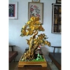 Cây Mai Vàng Bonsai Handmade - Trang trí phòng khách, giá ưu đãi 2.5 triệu