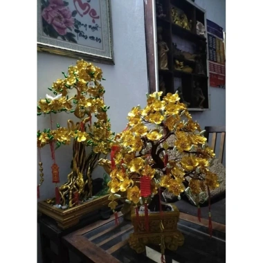 Cây Mai Vàng Bonsai Handmade - Trang trí phòng khách, giá ưu đãi 2.5 triệu 2