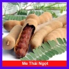 Cây Me Thái Ngọt - Cây ăn quả ngon, giá chỉ 45.000 VND, giảm giá hấp dẫn