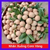 Cây nhãn xuông cơm vàng hạt lép - Giá 35.000 VND, giảm từ 45.150 VND, sinh nhanh