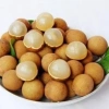 Cây nhãn xuông cơm vàng hạt lép - Giá 35.000 VND, giảm từ 45.150 VND, sinh nhanh 3