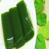 Cây sương sâm trơn ươm cành rễ ổn định giá chỉ 25.000đ khuyến mãi 2