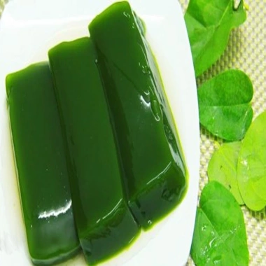 Cây sương sâm trơn ươm cành rễ ổn định giá chỉ 25.000đ khuyến mãi