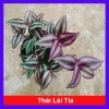 Cây Thài Lài Tía tươi - Rau chay sạch, giá chỉ 18.000đ, giảm từ 21.600đ, dinh dưỡng cao, dễ trồng