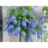 Cây thanh xà chậu treo 25cm, hoa tím xanh - Trang trí ban công, sân vườn, giá 22.000₫ 3