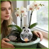 Cây Tưới Cây Spike Chậm Lắp Kỳ Nghỉ - Dễ Dàng Tưới Hoa Cây Nhà Vườn, Giá Ưu Đãi 83.600 VND 8