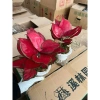 Cây Vạn Lộc Thái Đỏ 2 nhánh Thuỷ Sinh Chậu nhựa - Hồng Phát Lộc, giảm còn 149.000₫ 3