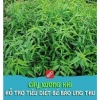 Cây xương khỉ phơi khô Bìm Bịp Mãnh Cộng - Trà hỗ trợ Gan, xương khớp, ổn định huyết áp, giảm 20%