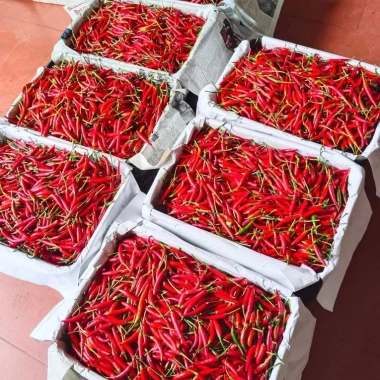 Chẩm chéo Tây Bắc và Điện Biên chuẩn vị, nhà làm hũ 300g - Giá chỉ 39.000đ