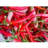 Chẩm chéo Tây Bắc và Điện Biên chuẩn vị, nhà làm hũ 300g - Giá chỉ 39.000đ 5