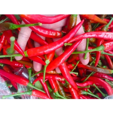 Chẩm chéo Tây Bắc và Điện Biên chuẩn vị, nhà làm hũ 300g - Giá chỉ 39.000đ
