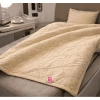 Chăn Dạ VIP Văn Phòng Hàng Không 150x200 Siêu Nhẹ Ấm Lạnh Giá Ưu Đãi 119k