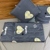 Chăn Gối Văn Phòng Đa Năng Siêu Tiện Ích - Giá Chỉ 145.000đ Giảm Giá Đặc Biệt 6
