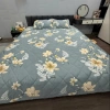 Chăn lụa Đũi thái mát trần bông 2m3x2m - Nhẹ nhẹ, màu sắc tươi mới 2.025 7