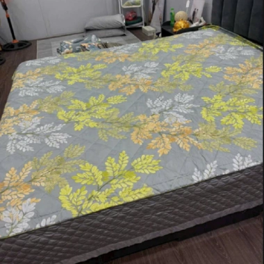 Chăn lụa Đũi thái mát trần bông 2m3x2m - Nhẹ nhẹ, màu sắc tươi mới 2.025 8