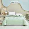 Chăn Mùa Đông Sang Xịn Cotton Cao Cấp - Giá 380.000đ, Giảm Giá Đặc Biệt 5