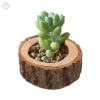 Chân nến bằng gỗ sang trọng - Giá đỡ đèn phòng ngủ, khách, giảm còn 37.400₫ 6