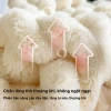 Chăn Nhung Moonly Lông Thỏ 2 Lớp Mềm Mại Ấm Áp Nhỏ Gọn Văn Phòng Giá 59.000₫ 3