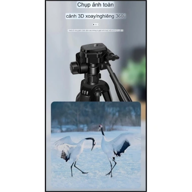 Chân quay Tripod 3 in 1 360° góc nghiêng, đèn LED, kẹp điện thoại Live stream, giá 200k 8 Chân quay Tripod 3 in 1 360° góc nghiêng, đèn LED, kẹp điện thoại Live stream, giá 200k 8