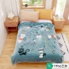 Chăn Siêu Tuyết 2kg 1.5x2m Siêu Mềm, Siêu Ấm Đắp 1 Người - Mẫu 2.025 Giá 284k 6