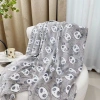 Chăn văn phòng lông tuyết mẫu gấu xám 2m size lớn giá ưu đãi 99.000₫