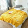 Chăn văn phòng nhung tuyết siêu nhẹ 2mx2m3 - Mền kẻ tăm rộng, giá ưu đãi 145.000 VND 10