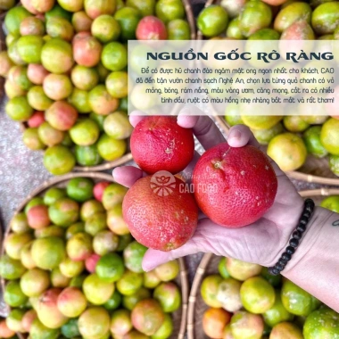 Chanh đào ngâm mật ong đường phèn 1L CAOFOOD 100% nguyên chất - Giảm đau cổ họng, giá ưu đãi 149.999 VND