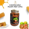 Chanh đào tươi ngâm mật ong Phương Di hủ 1.000g - OCOP VietGap, giá chỉ 198.000đ