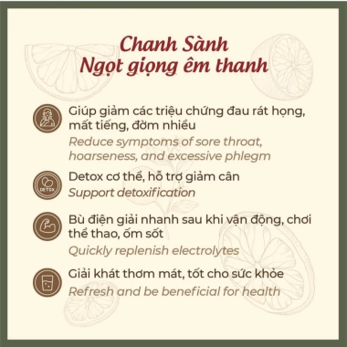 Chanh Sành & Đào Ủ Muối Gừng Mật Ong - Thực Dưỡng Giảm Ho, Thiên Nhiên - Giá chỉ 195.000đ
