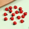 Charm bọ cánh cam và bọ rùa mini - Phụ kiện decor chụp ảnh, giảm giá 30.000₫