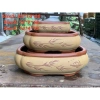 Chậu Bonsai chữ nhật màu vàng tàu 3 size - Giá ưu đãi 380.000đ, chất lượng cao 8