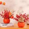 Chậu Cây Đào Đông Minisize Tài Lộc Trang Trí Phòng - Ưu Đãi 45.000₫ Tết 2.026 3