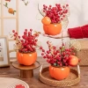 Chậu Cây Đào Đông Minisize Tài Lộc Trang Trí Phòng - Ưu Đãi 45.000₫ Tết 2.026 6