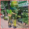 Chậu cây dong lá bạc Tropical – Decor giếng trời, hồ bơi, cà phê, giá 128.700₫ 4