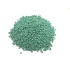 Chậu cây đuôi phụng màu độc đáo 25cm - Cây phong thuỷ nội thất, giá 25.000 VND 5
