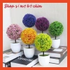 Chậu cây hoa giả để bàn đẹp, lựa chọn màu đa dạng, giá ưu đãi 79.000₫