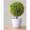 Chậu cây hoa giả để bàn đẹp, lựa chọn màu đa dạng, giá ưu đãi 79.000₫ 3