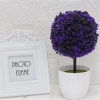 Chậu cây hoa giả để bàn đẹp, lựa chọn màu đa dạng, giá ưu đãi 79.000₫ 9
