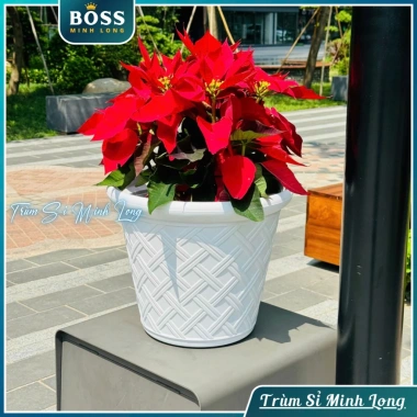 Chậu cây hoạ tiết La Mã giả mây đan - Trang trí nhà, phòng làm việc, giá 29.000 3