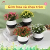 Chậu cây mô phỏng Gypsophila có hoa - Trang trí bàn làm việc, giá ưu đãi 40.000₫ 2